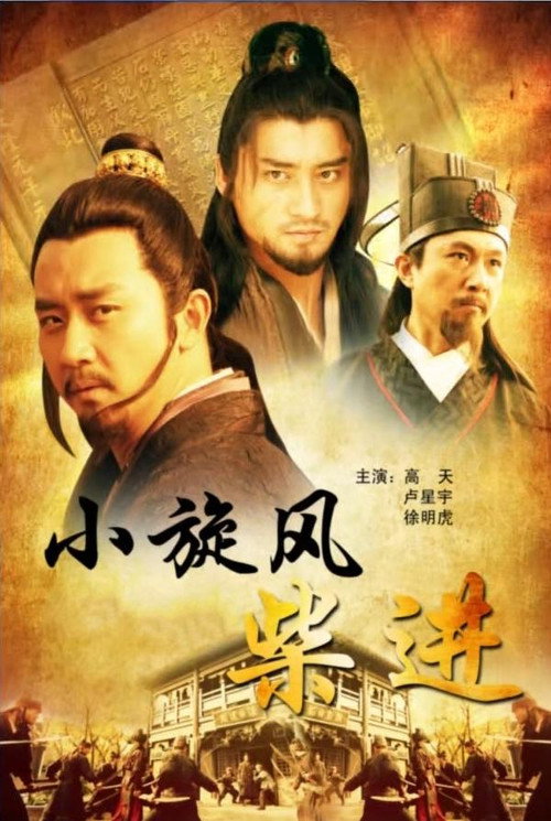小旋风柴进 封面