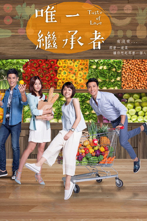 唯一继承者 封面