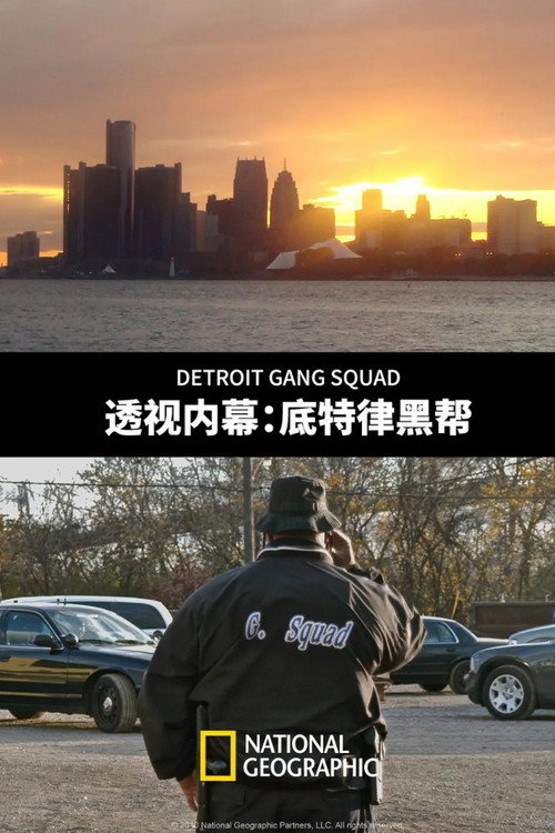 透视内幕:底特律黑帮 封面