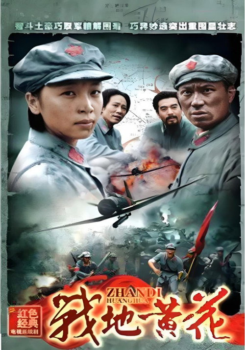 战地黄花 封面