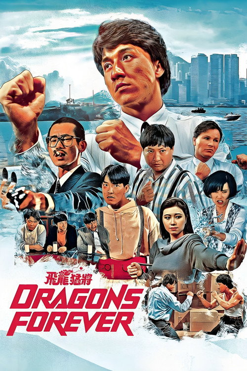 飞龙猛将 封面