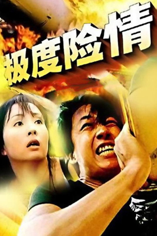 极度险情 封面