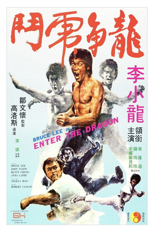龙争虎斗 封面