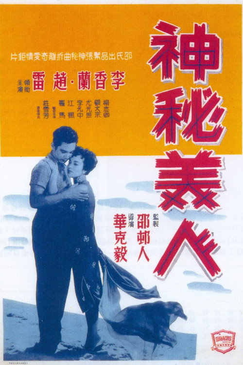神秘美人 封面