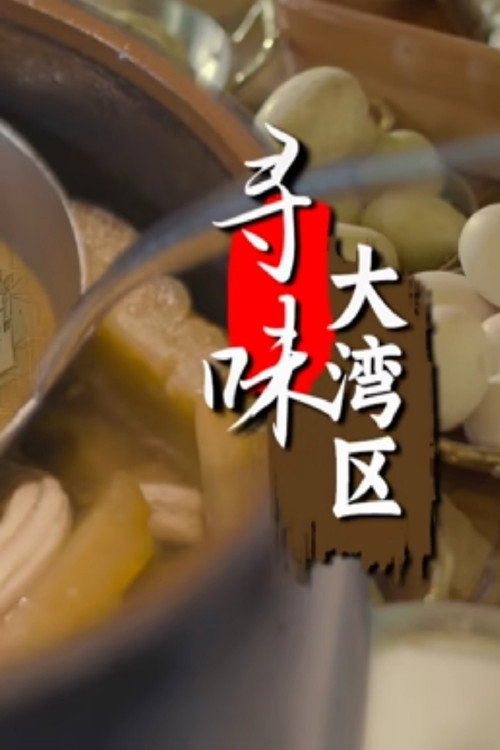 寻味大湾区 封面