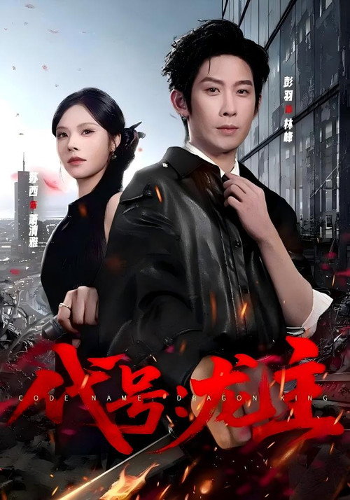 代号:龙主 封面