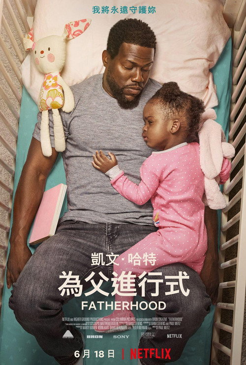 父亲的身份 封面