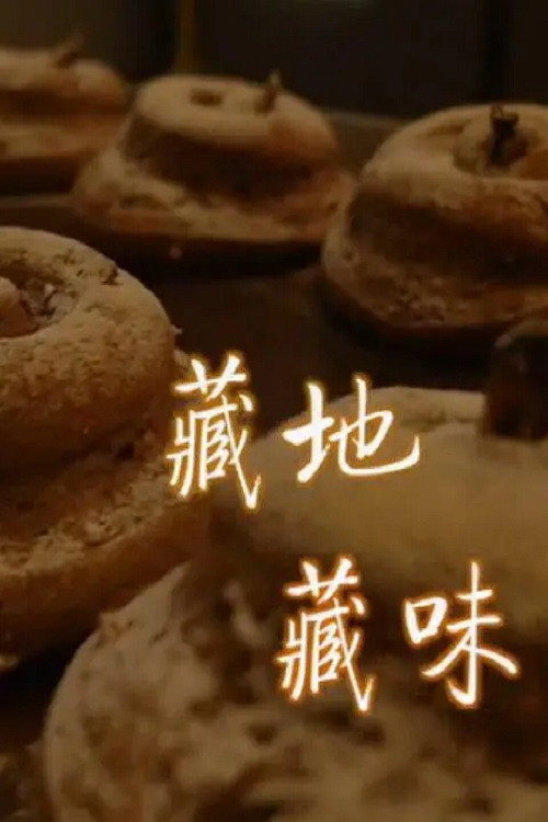 藏地藏味 封面