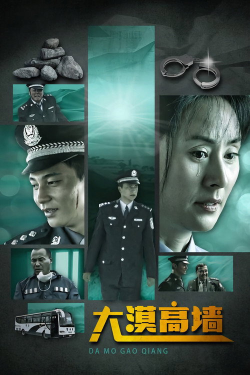 大漠高墙 封面