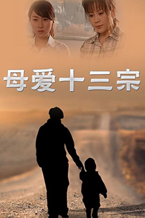 母爱十三宗 封面