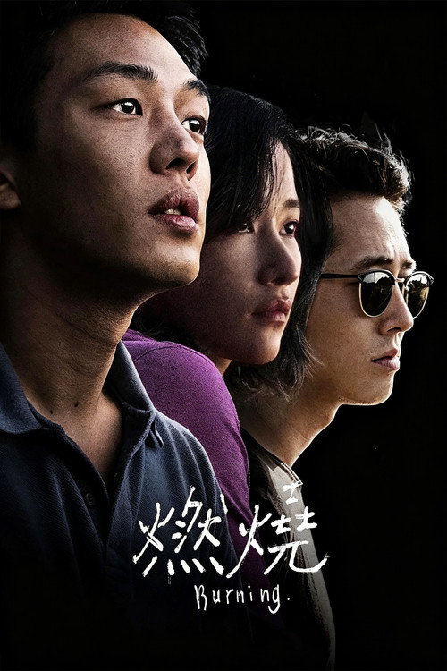 燃烧 封面
