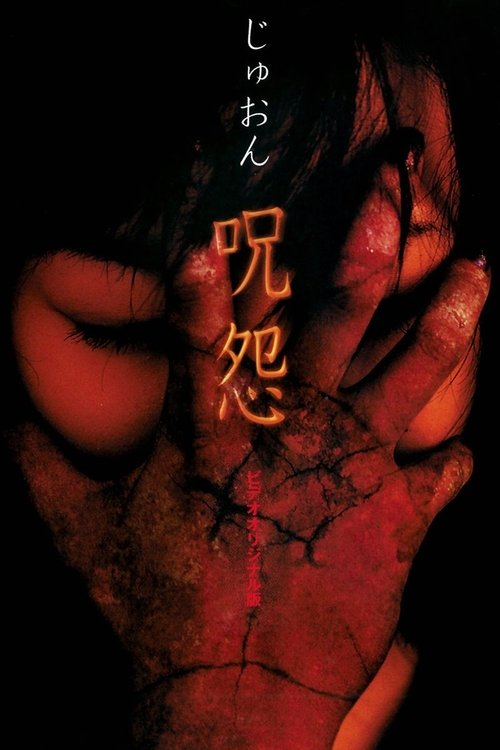 咒怨录像带版 封面