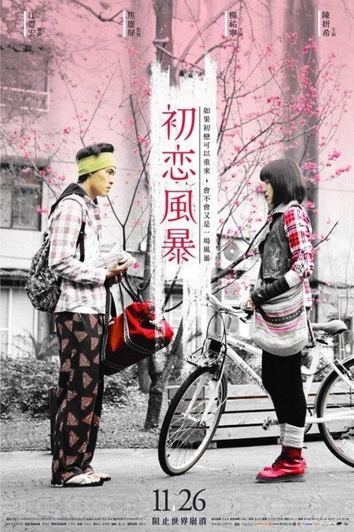 初恋风暴 封面