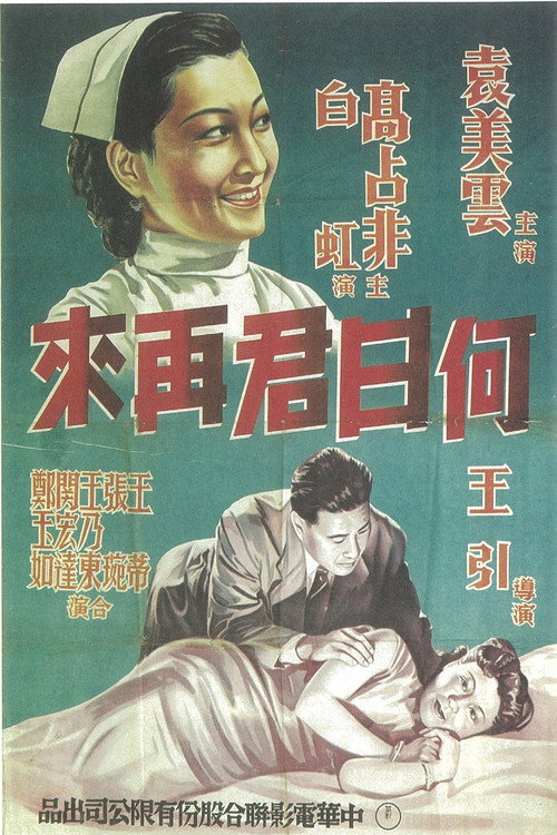 何日君再来 封面