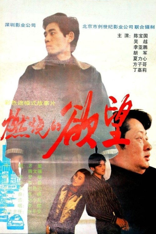 燃烧的欲望 封面