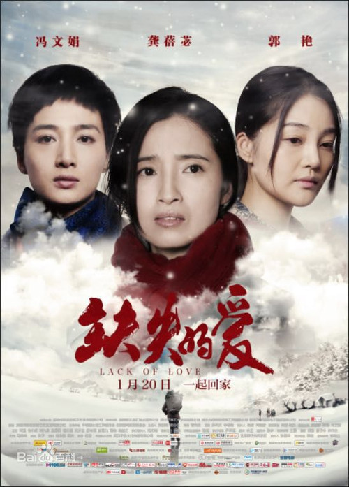 缺失的爱 封面