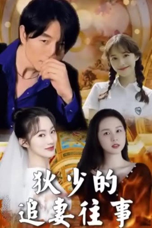 狄少的追妻往事 封面