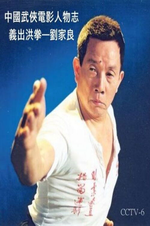 中国武侠电影人物志 义出洪拳 刘家良 封面