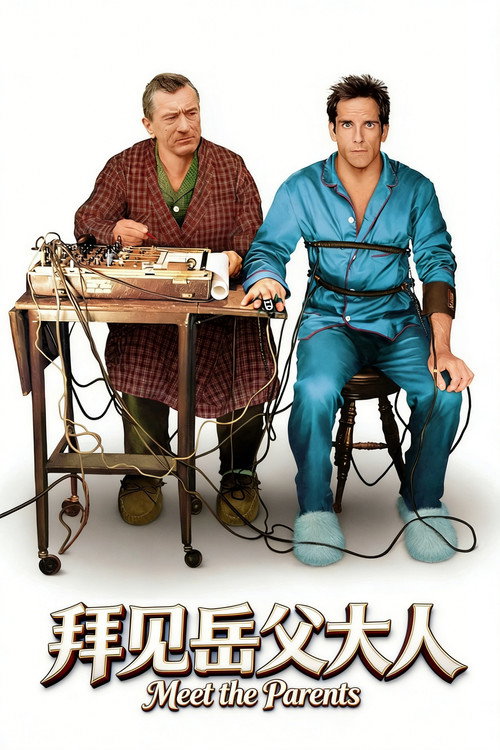 拜见岳父大人 封面