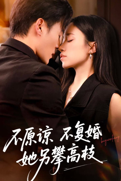 不原谅不复婚她另攀高枝 封面