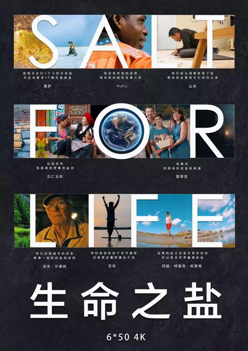 生命之盐 封面