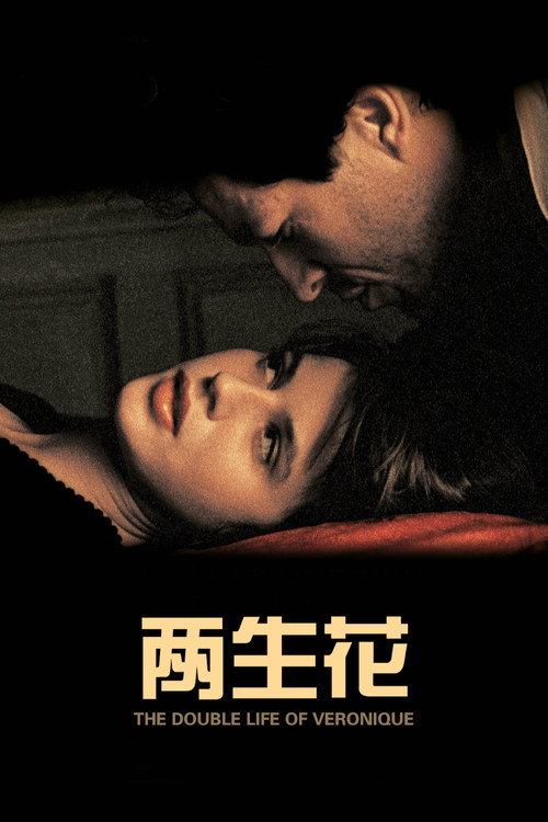 两生花 封面