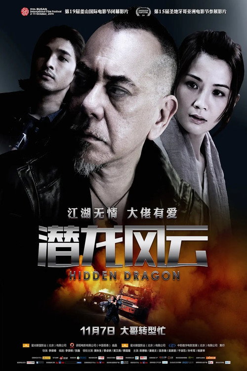 潜龙风云 封面