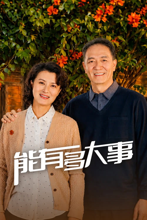 能有多大事 封面