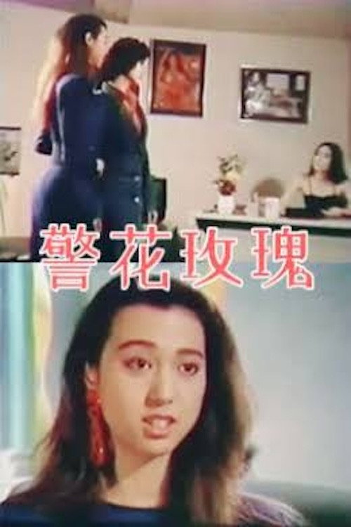 警花玫瑰 封面