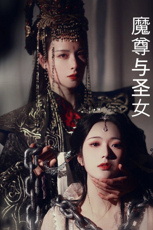 魔尊与圣女 封面