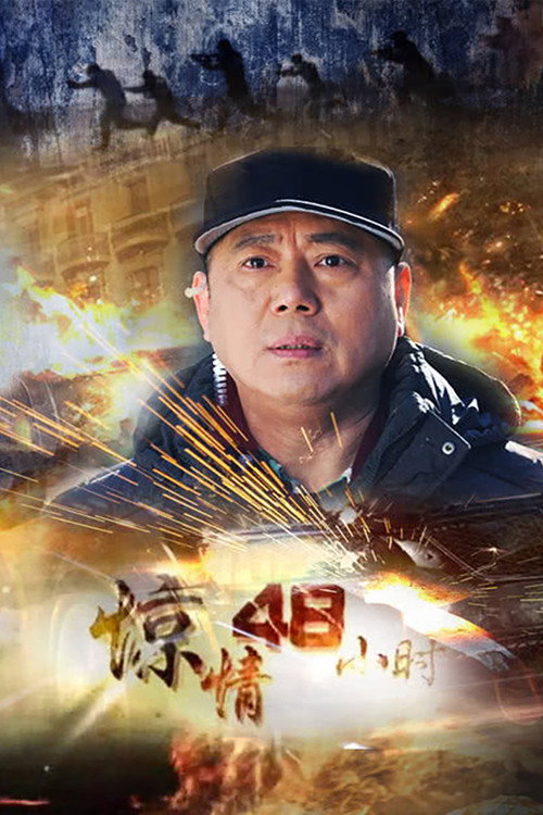 惊情48小时 封面