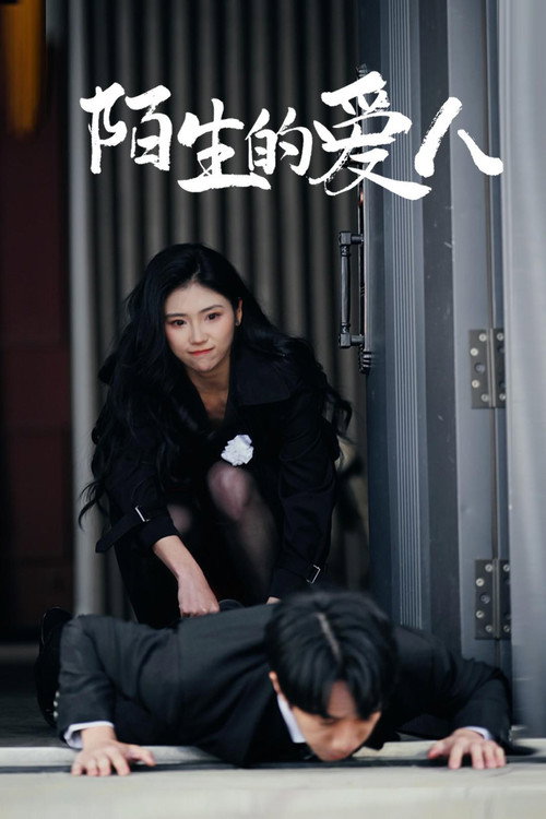 陌生的爱人 封面