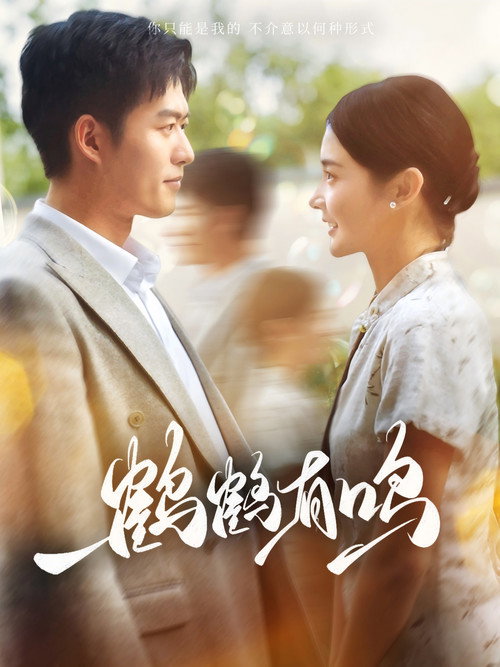 鹤鹤有鸣 封面