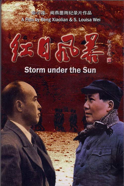 红日风暴 封面