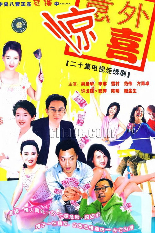 将装修进行到底 封面