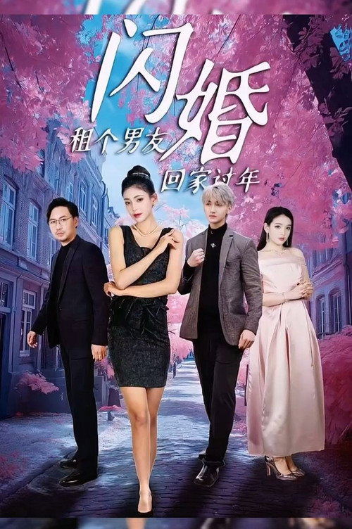 闪婚租个男友回家过年 封面