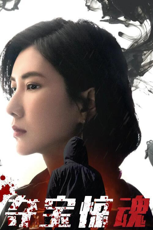 夺宝惊魂 封面