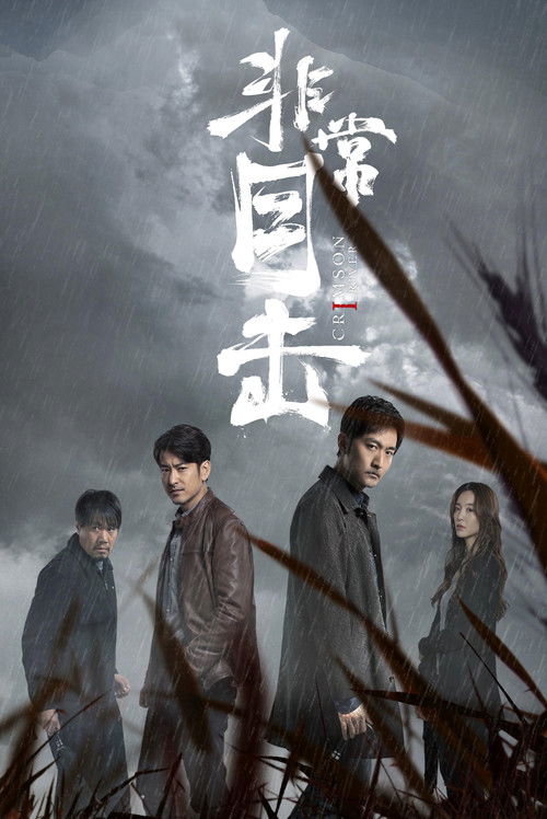 非常目击 封面