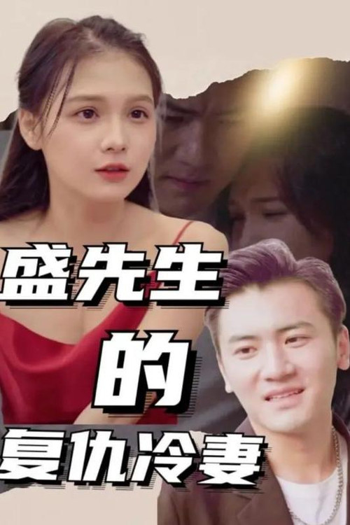 盛先生的复仇冷妻 封面