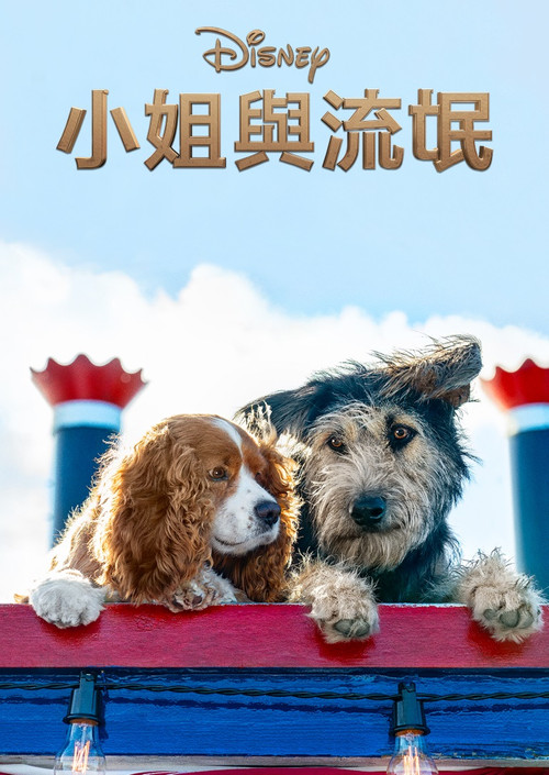 小姐与流浪汉 封面