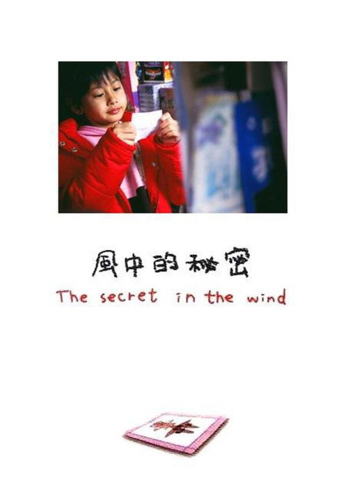風中的秘密 封面