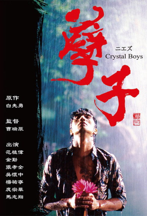孽子 封面