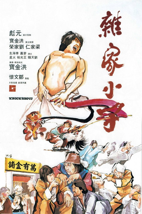 杂家小子 封面