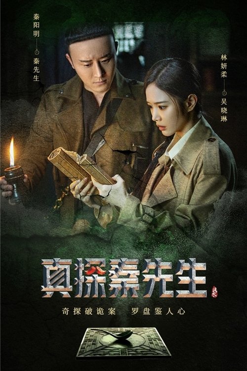真探秦先生 封面