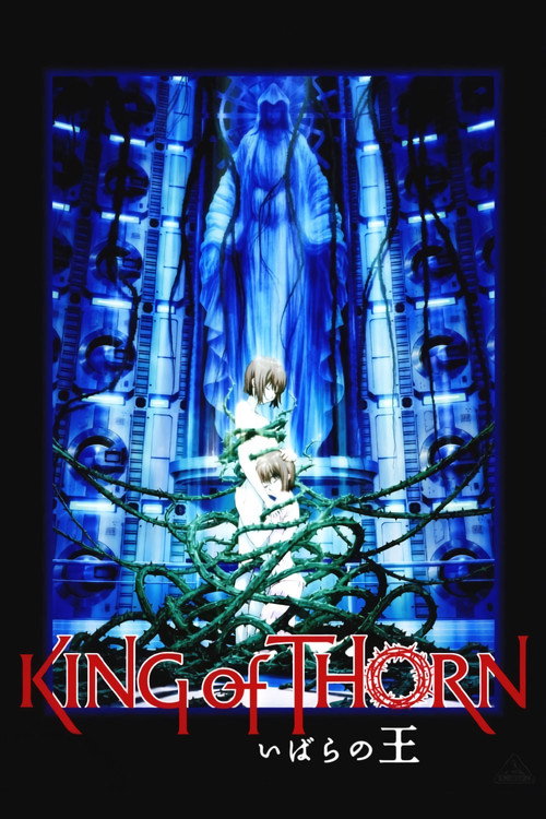 古城荆棘王 封面