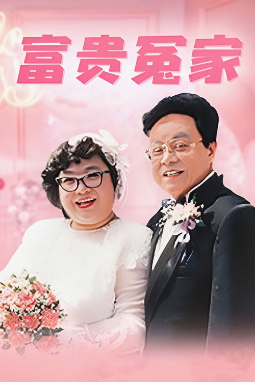 富贵冤家 封面