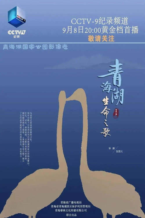 青海湖生命之歌 封面