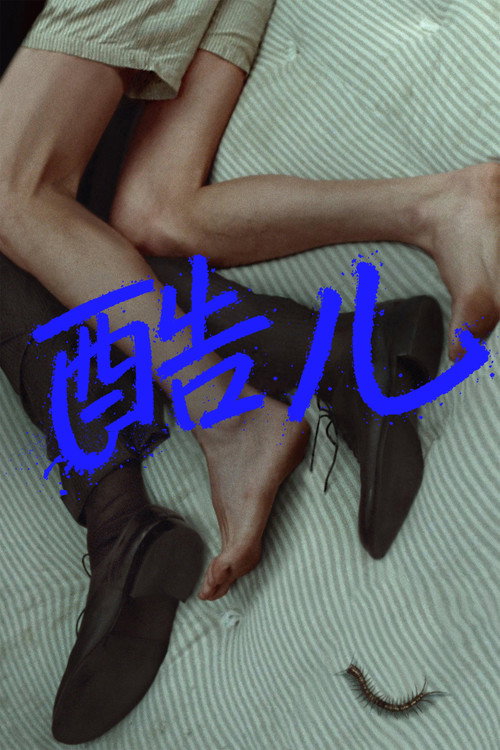 酷儿 封面