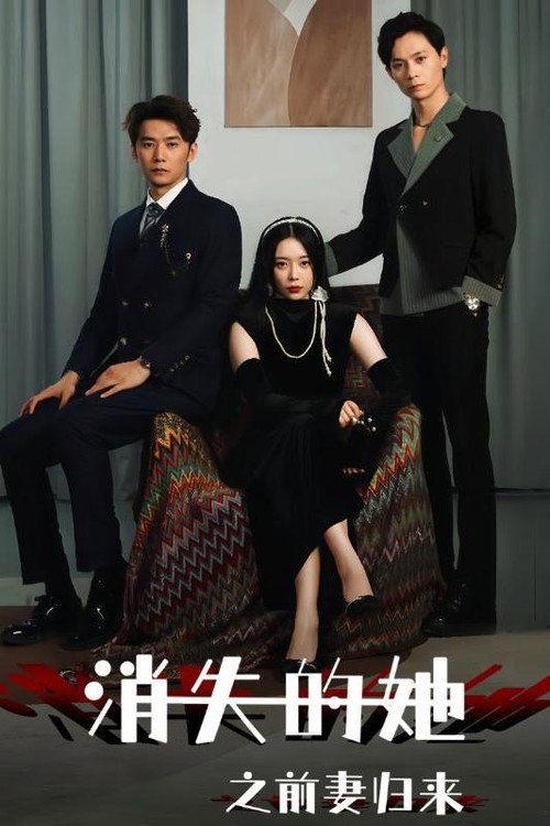 消失的她之前妻归来 封面
