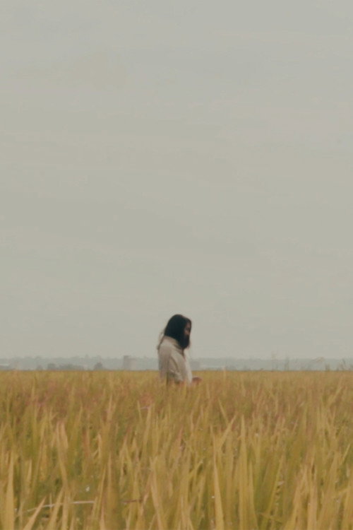 The Lost Piece 封面